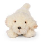 LIVING NATURE Labradoodle spielender Welpe