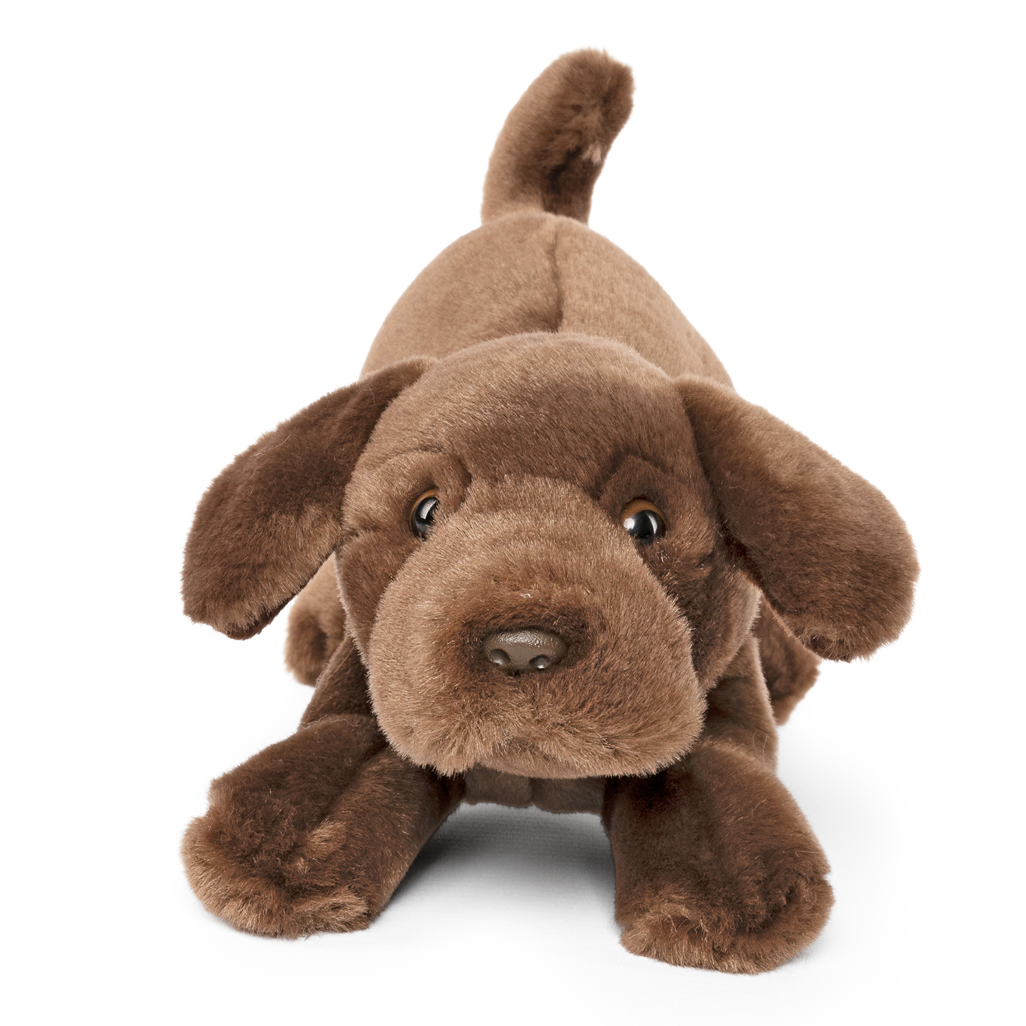 AN704 LIVING NATURE Schoko Labrador spielender Welpe – Bild 1