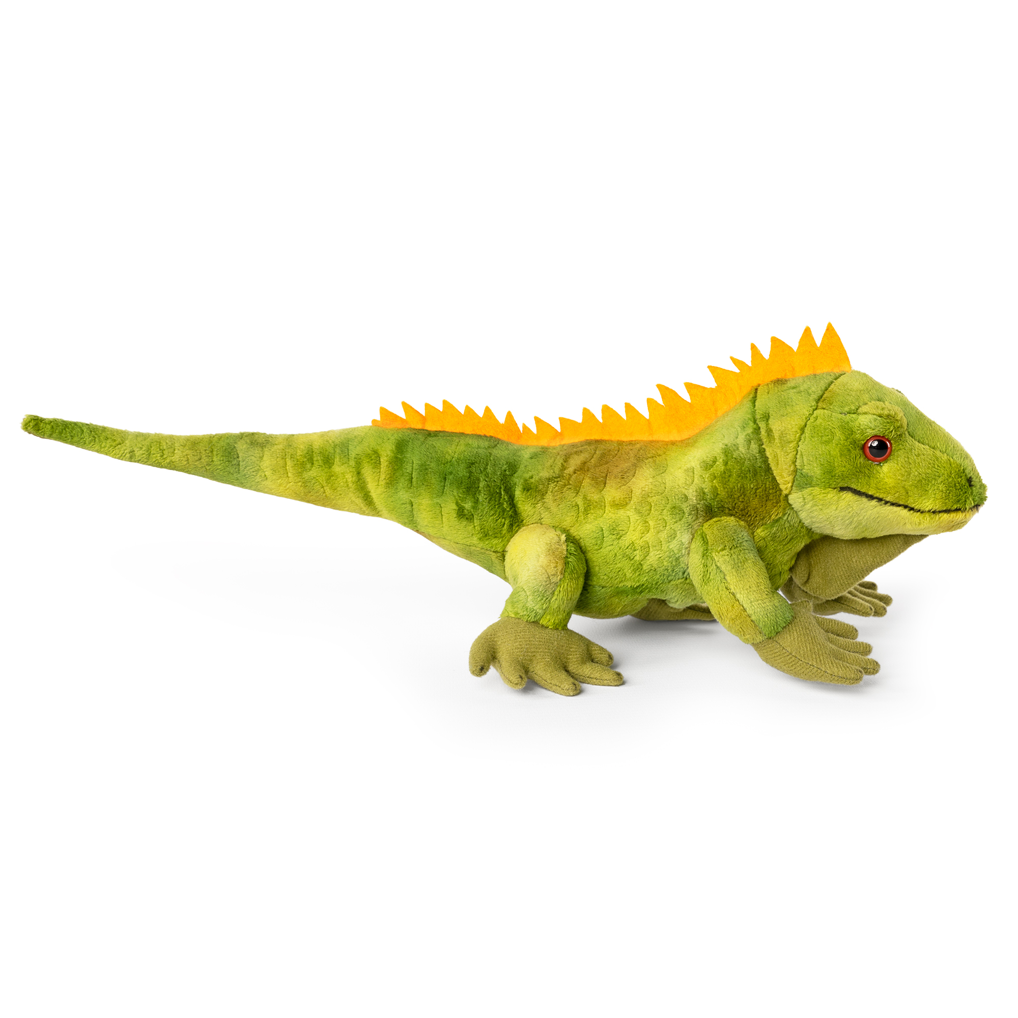 AN708 LIVING NATURE Leguan – Bild 1