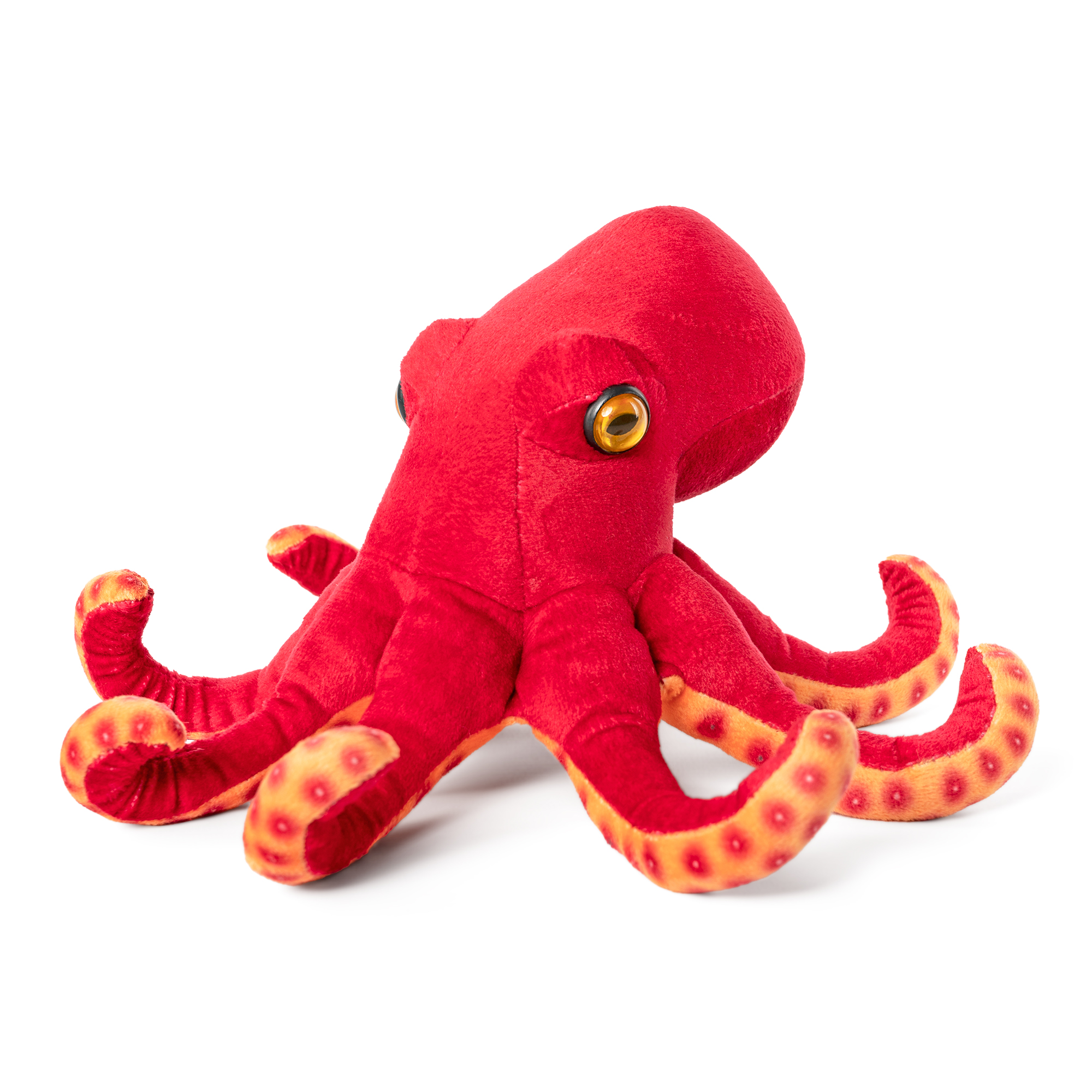 AN718 LIVING NATURE Oktopus – Bild 1