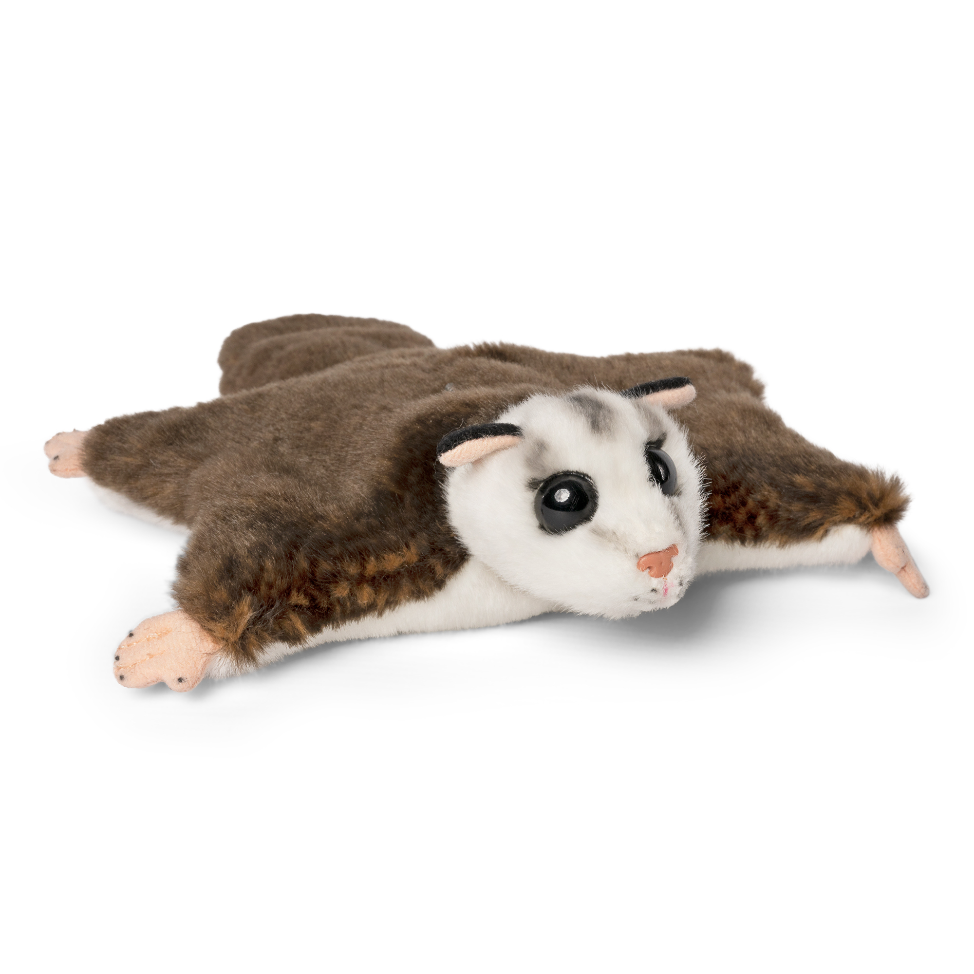AN720 LIVING NATURE Flughörnchen – Bild 1
