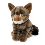 LIVING NATURE Schottische Wildkatze