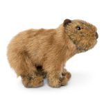 LIVING NATURE Capybara
