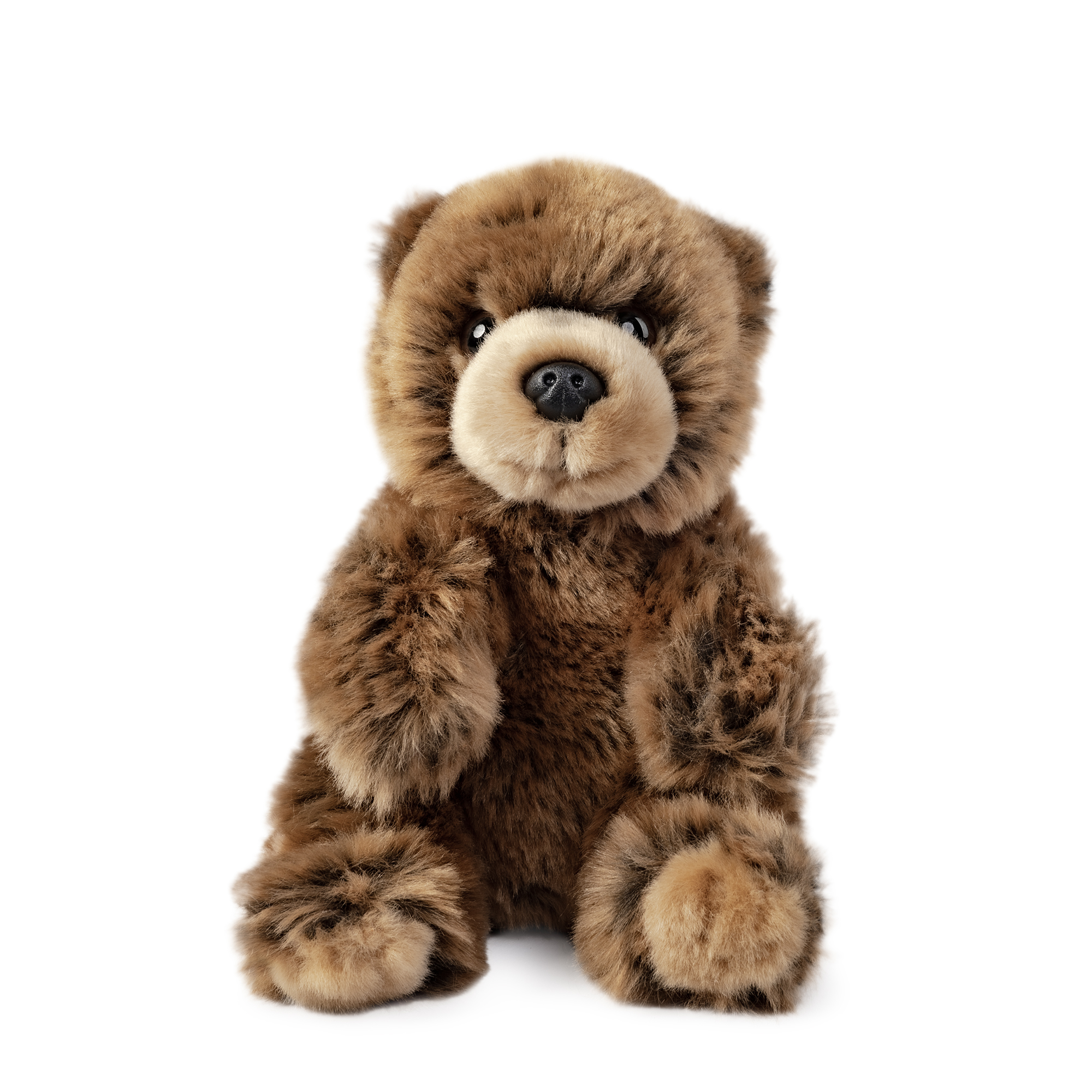 KEYCRAFT Products 9/12/2021 LIVING NATURE Braunbär Jungtier – Bild 1