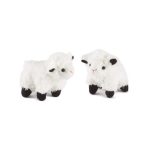 Lämmchen Mini Buddies