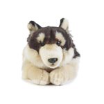 LIVING NATURE Wolf gross – Bild 2