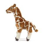 LIVING NATURE Giraffenjunges – Bild 2