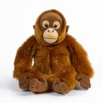 LIVING NATURE Orangutan