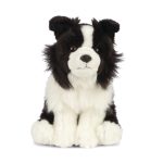 LIVING NATURE Border Collie