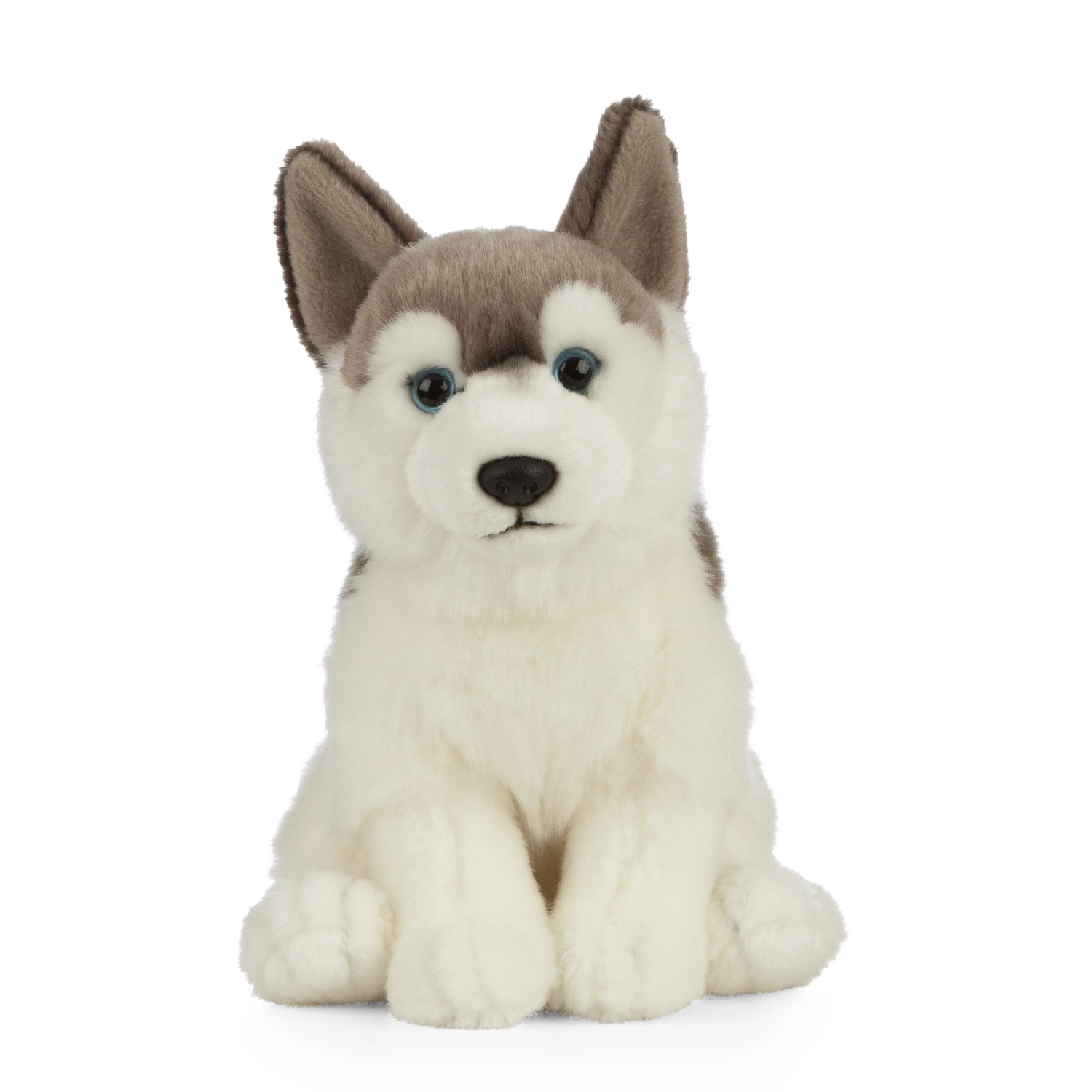 LNA-AN461_001 LIVING NATURE Husky – Bild 1