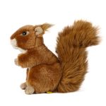 LIVING NATURE Eichhörnchen – Bild 2