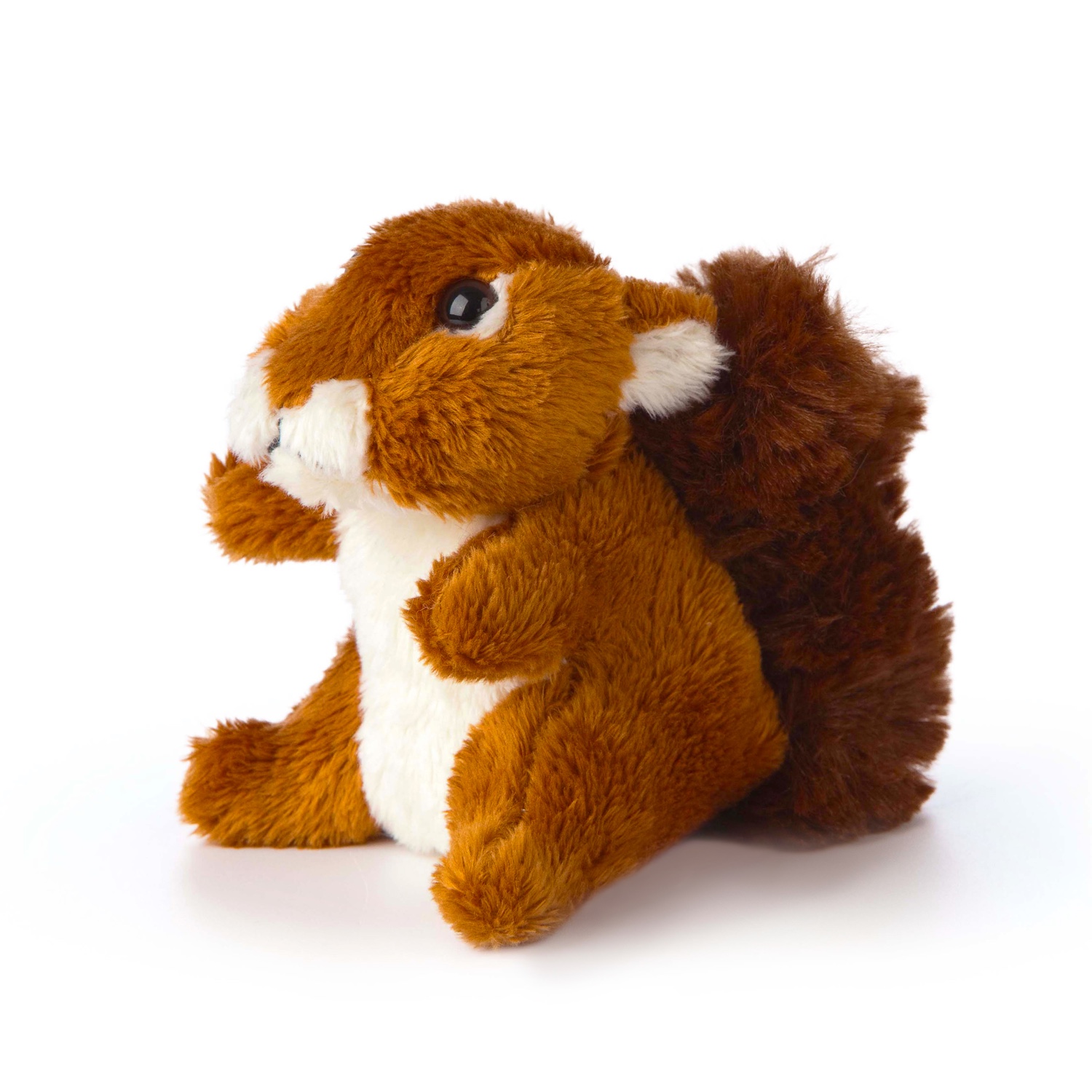 LNA-AN522_001 LIVING NATURE SMOLS Eichhörnchen – Bild 1