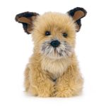 LIVING NATURE Border Terrier