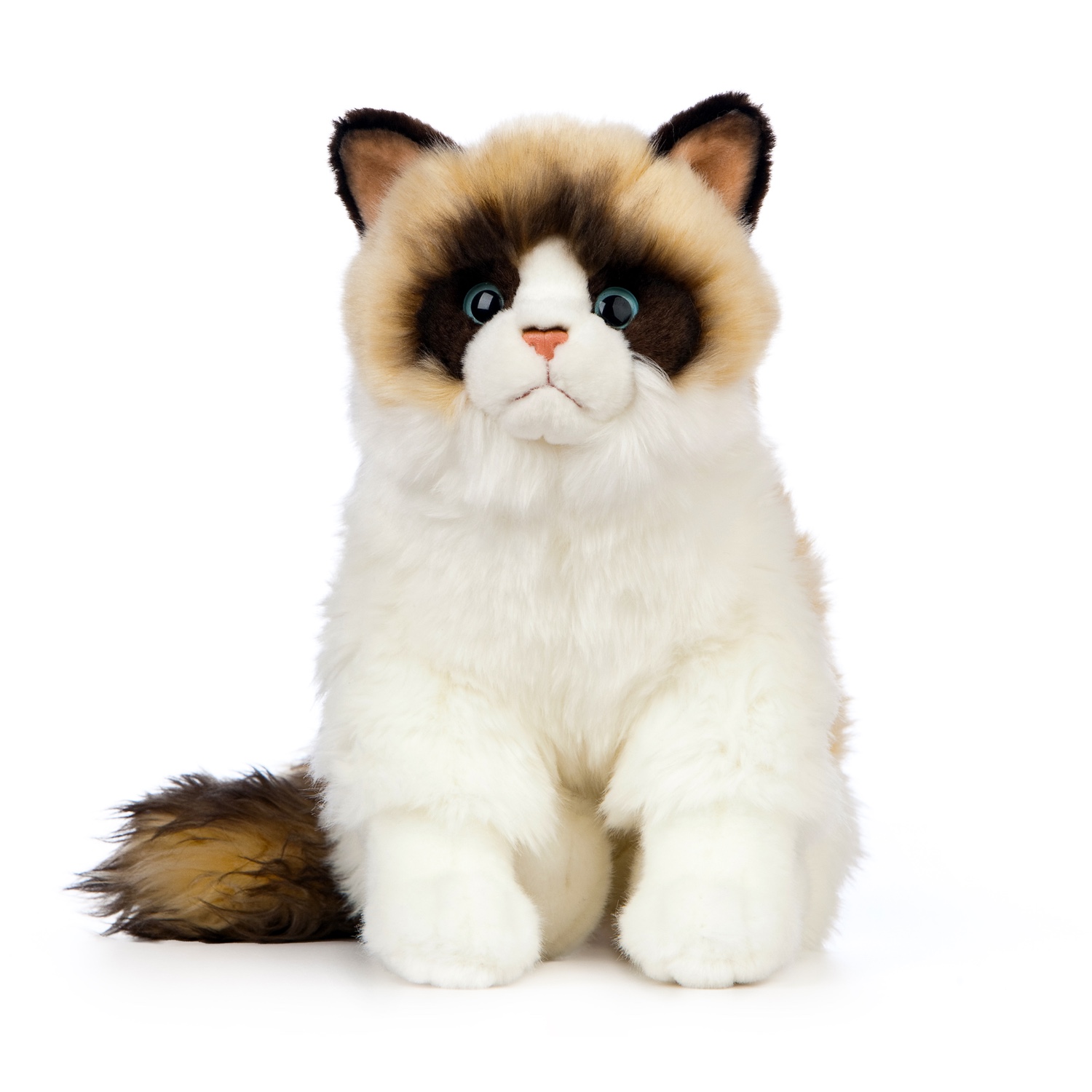 LNA-AN567_001 LIVING NATURE Ragdoll Katze – Bild 1