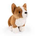 LIVING NATURE Corgi