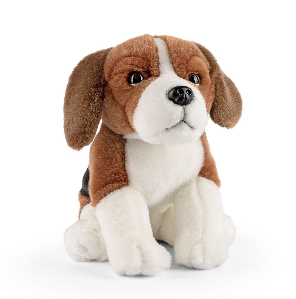 LNA-AN671_001 LIVING NATURE Beagle – Bild 1