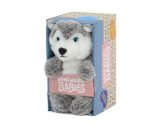 LIVING NATURE Babies Husky – Bild 3