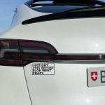Tesla Autoaufkleber "I BOUGHT THIS BEFORE ELON WENT CRAZY" Schwarz auf Weiss – Bild 2