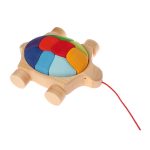 Regenbogen Schildkröte