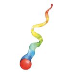 Kometenschweif Regenbogen – Bild 3