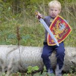 Liontouch® Edler Ritter Spielzeugschwert & Schild, Rot – Bild 5