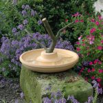 Vogeltränke / Vogelbad