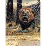Puzzle African King 500 Teile