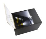 Projektor Box