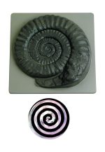 Zauberschnecke