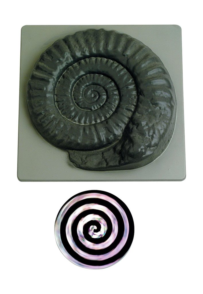 Zauberschnecke