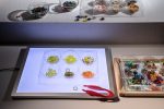 Transp.Tablett, runde Mulden