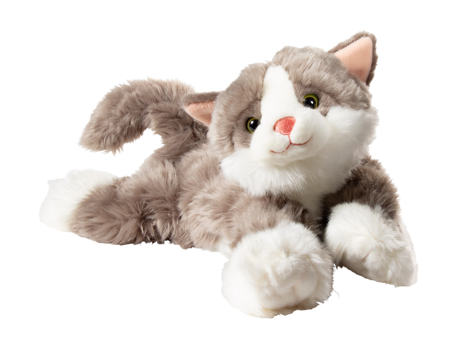 Billy die Katze Billy die Katze