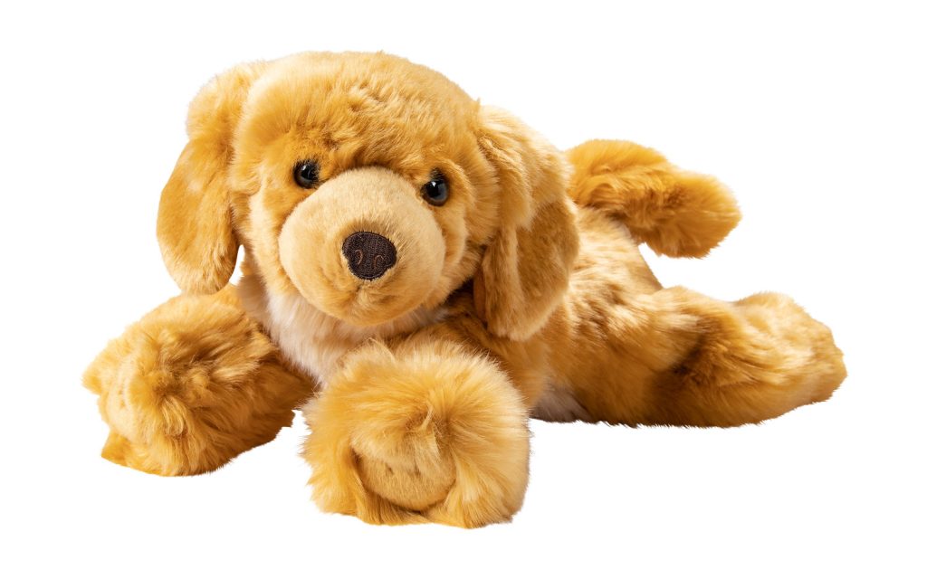 Brando - der Hund