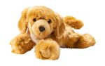 Brando - der Hund