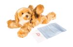 Brando - der Hund
