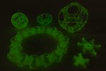Fluoreszierende Knüpferli
